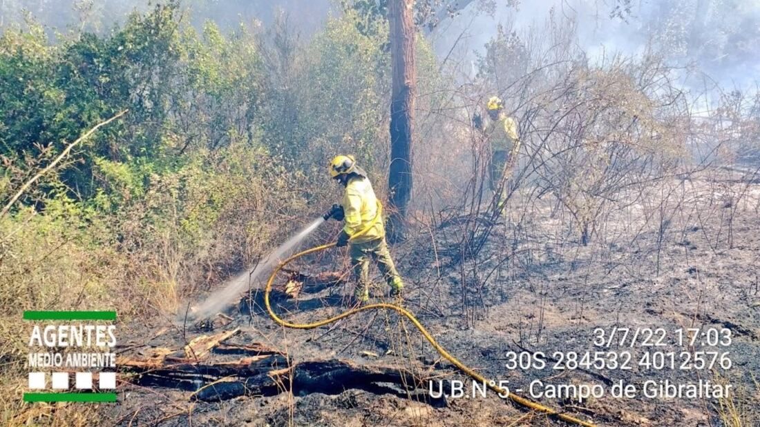 Trabajos en un incendio forestal en San Roque