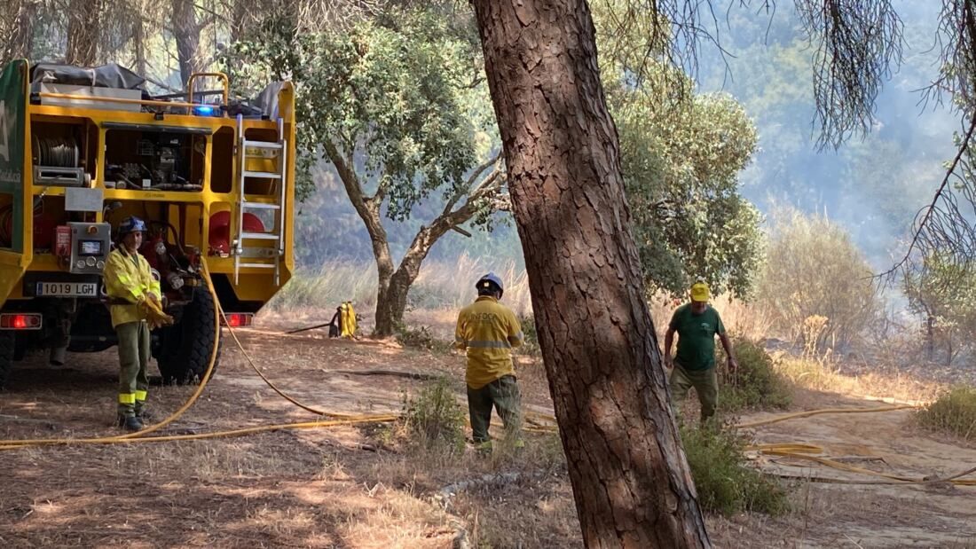 2022 controlado incendio pinar rey2