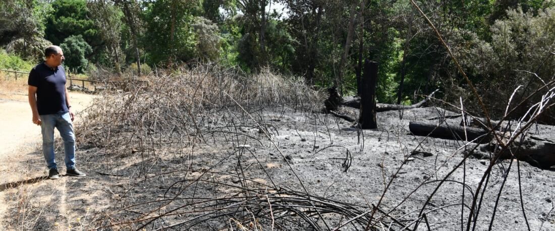 Incendio en el Pinar del Rey.