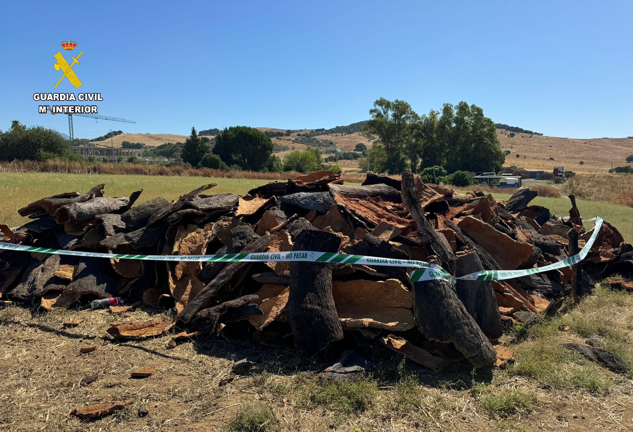 Detenidas tres personas por robar 16.000 kilos de corcho de varias explotaciones del Campo de Gibraltar