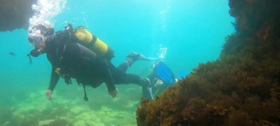 Buceo en Tarifa (Foto: Centollo Dive Club).