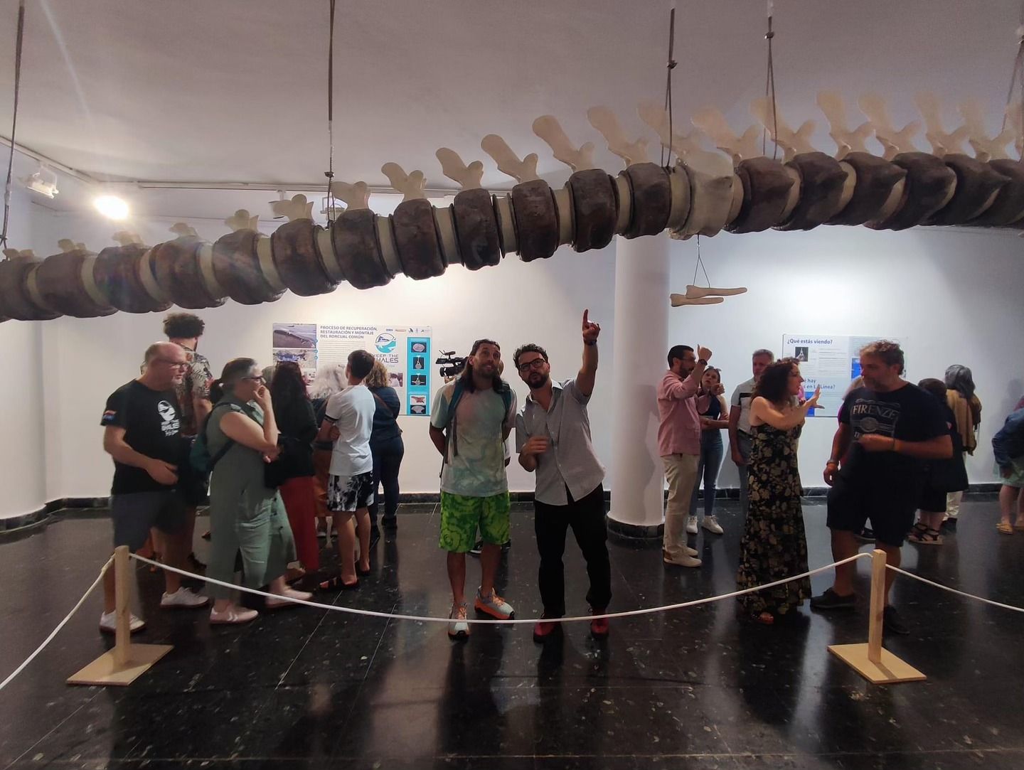 Casi tres mil personas conocen la exposición del rorcual Galadriel en la Galería Manolo Alés. Foto: Galería Manolo Alés.