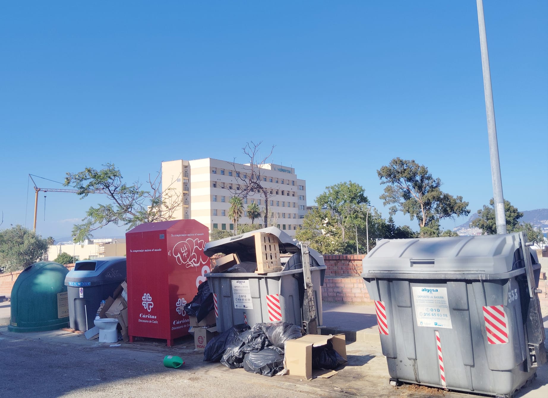 Denuncian un "problema de insalubridad" en Algeciras por la proliferación de ratas.