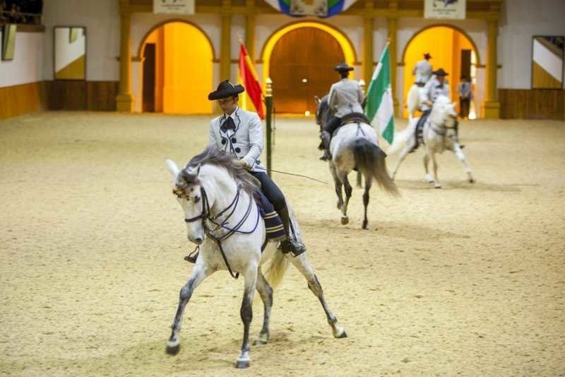 San Roque acoge este viernes la I Jornada Ecuestre Deportiva 'Ciudad de San Roque' San Roque acoge este viernes la I Jornada Ecuestre Deportiva 'Ciudad de San Roque'