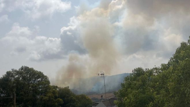 Declarado un incendio forestal en Algeciras Declarado un incendio forestal en Algeciras