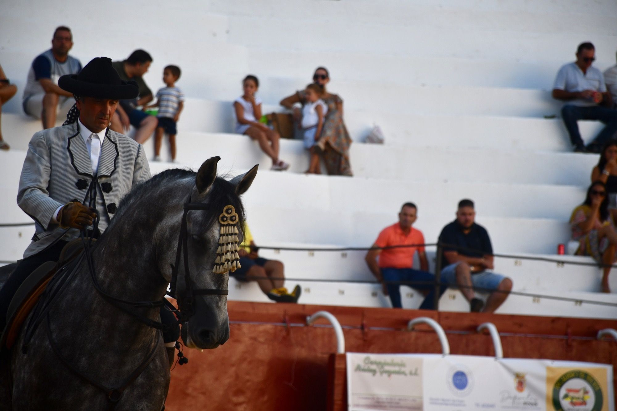 La belleza del caballo, en la I Jornada Ecuestre Deportiva de San Roque. 