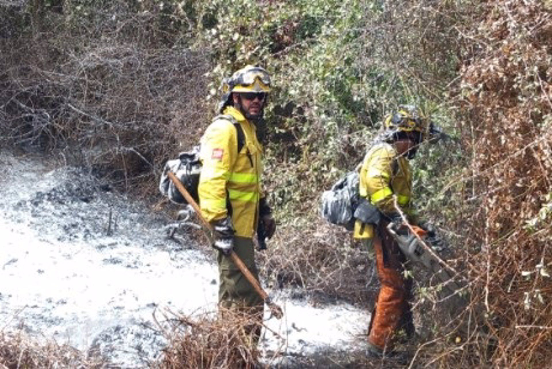 El incendio forestal de Algeciras, "extinguido" tras quemar tres hectáreas de matorral. 