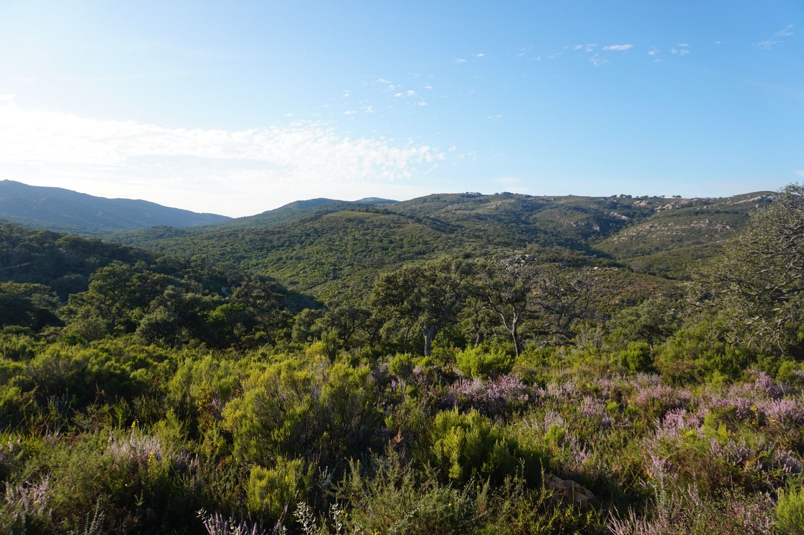 Ruta de Valdeinfierno, en Los Barrios. Ruta de Valdeinfierno, en Los Barrios.