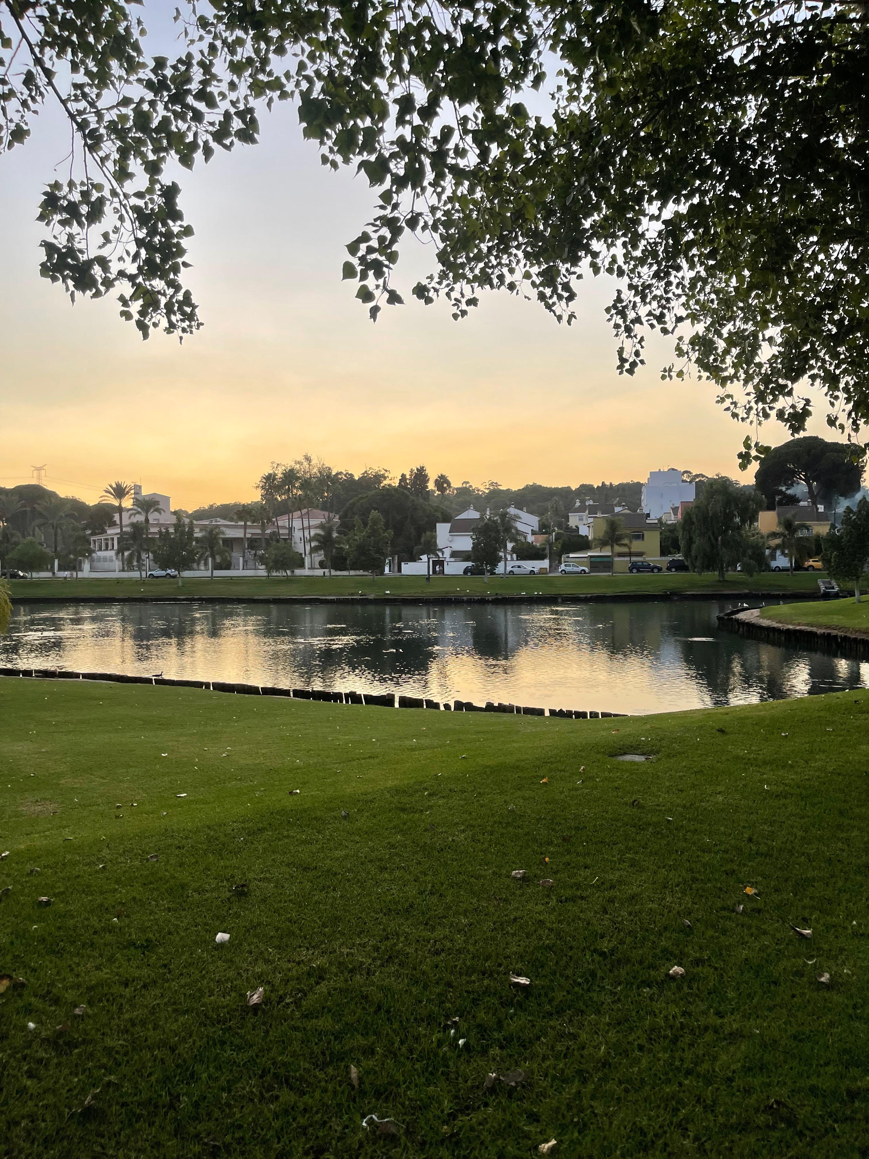 La laguna de Guadacorte. La laguna de Guadacorte.