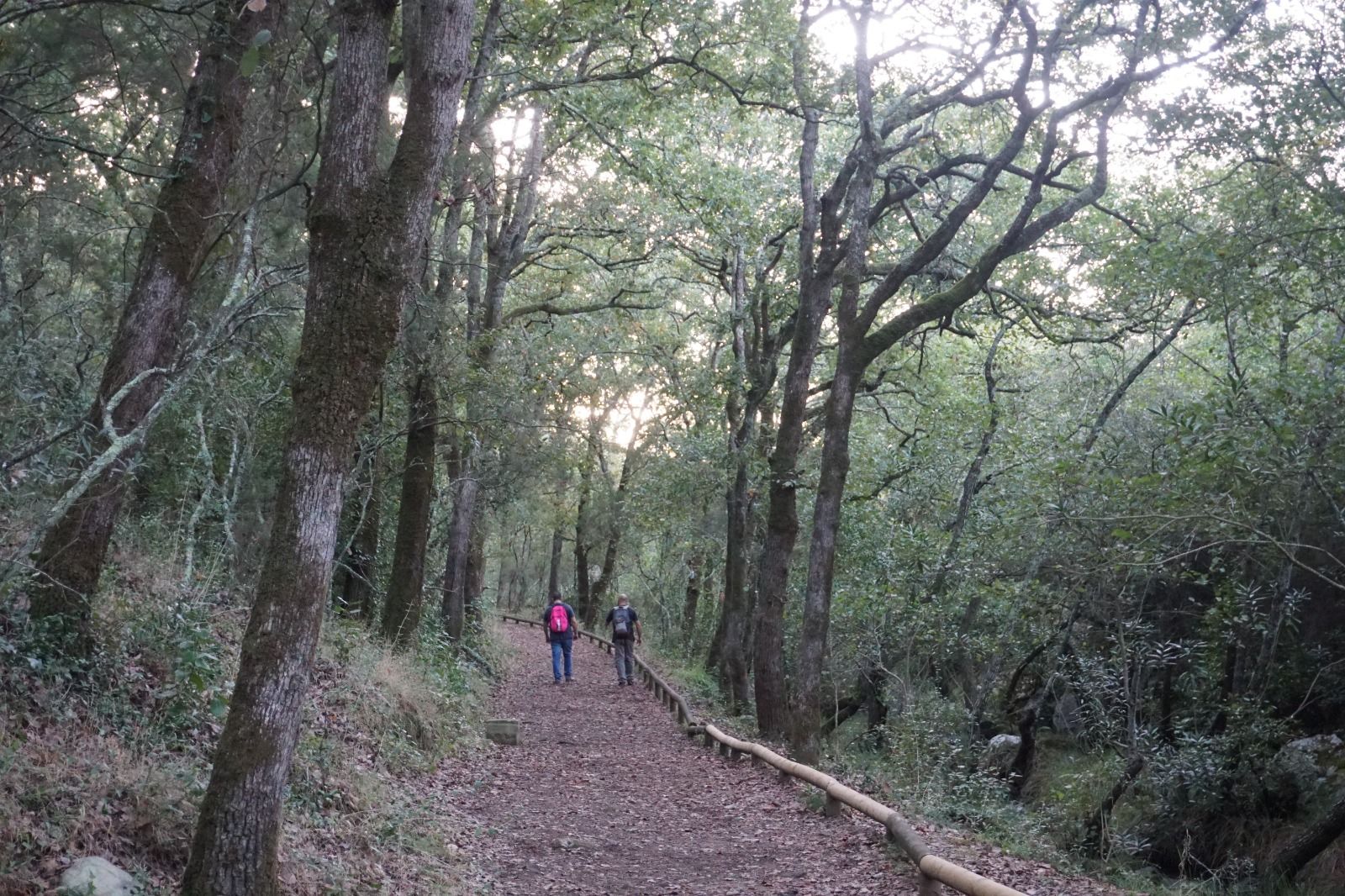 Ruta de Valdeinfierno, en Los Barrios. Ruta de Valdeinfierno, en Los Barrios.