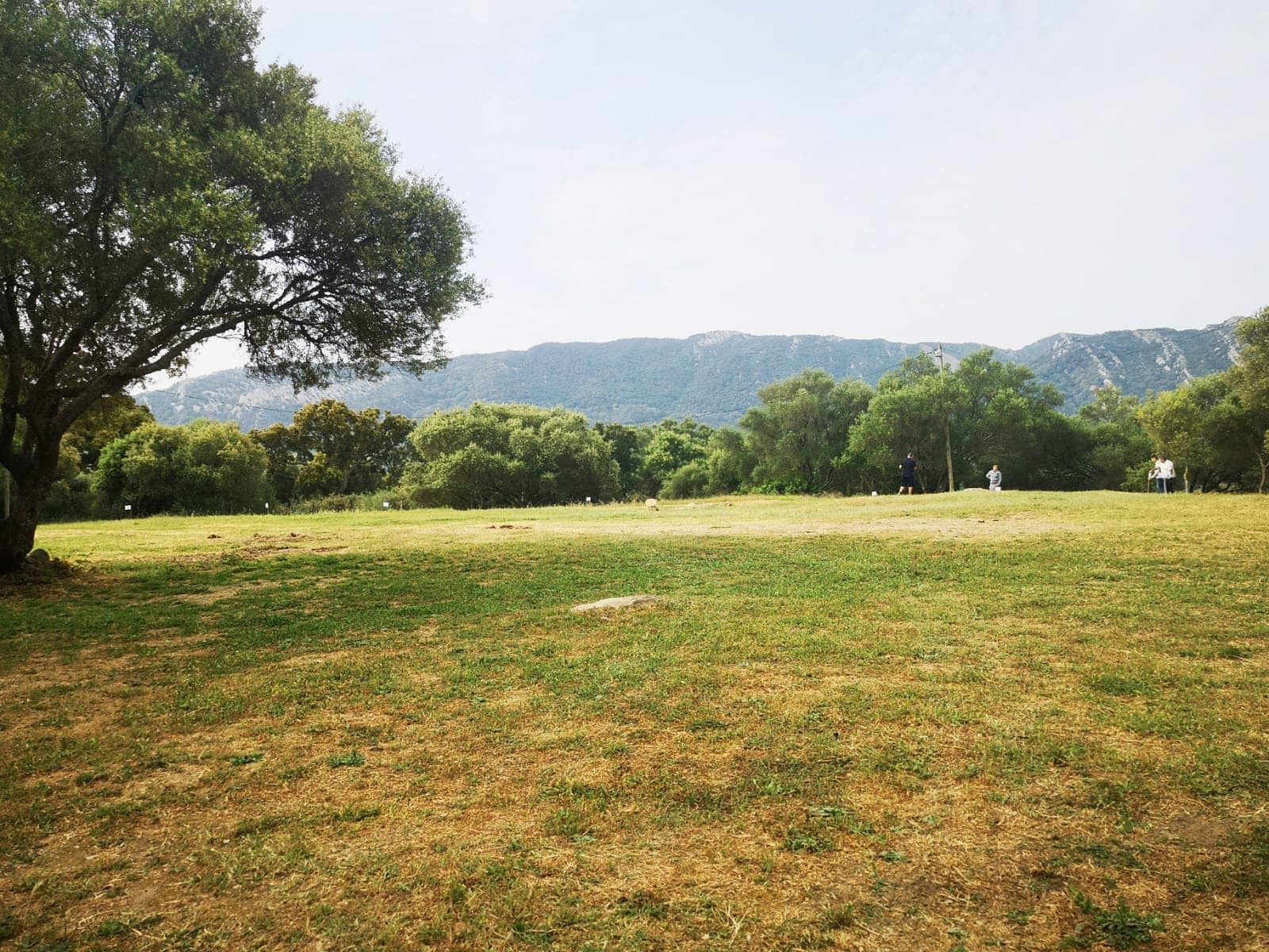 Área recreativa de la Montera del Torero, en Los Barrios. Área recreativa de la Montera del Torero, en Los Barrios.
