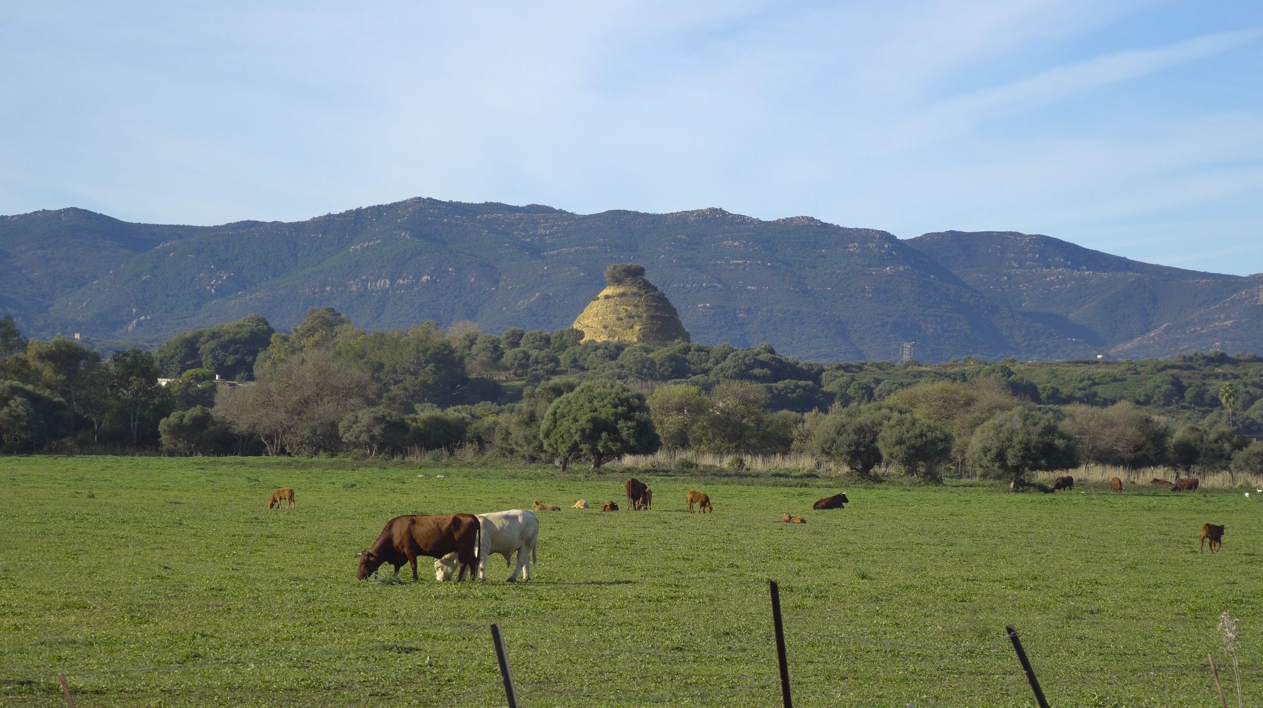 Biodiversidad en Los Barrios. Biodiversidad en Los Barrios.