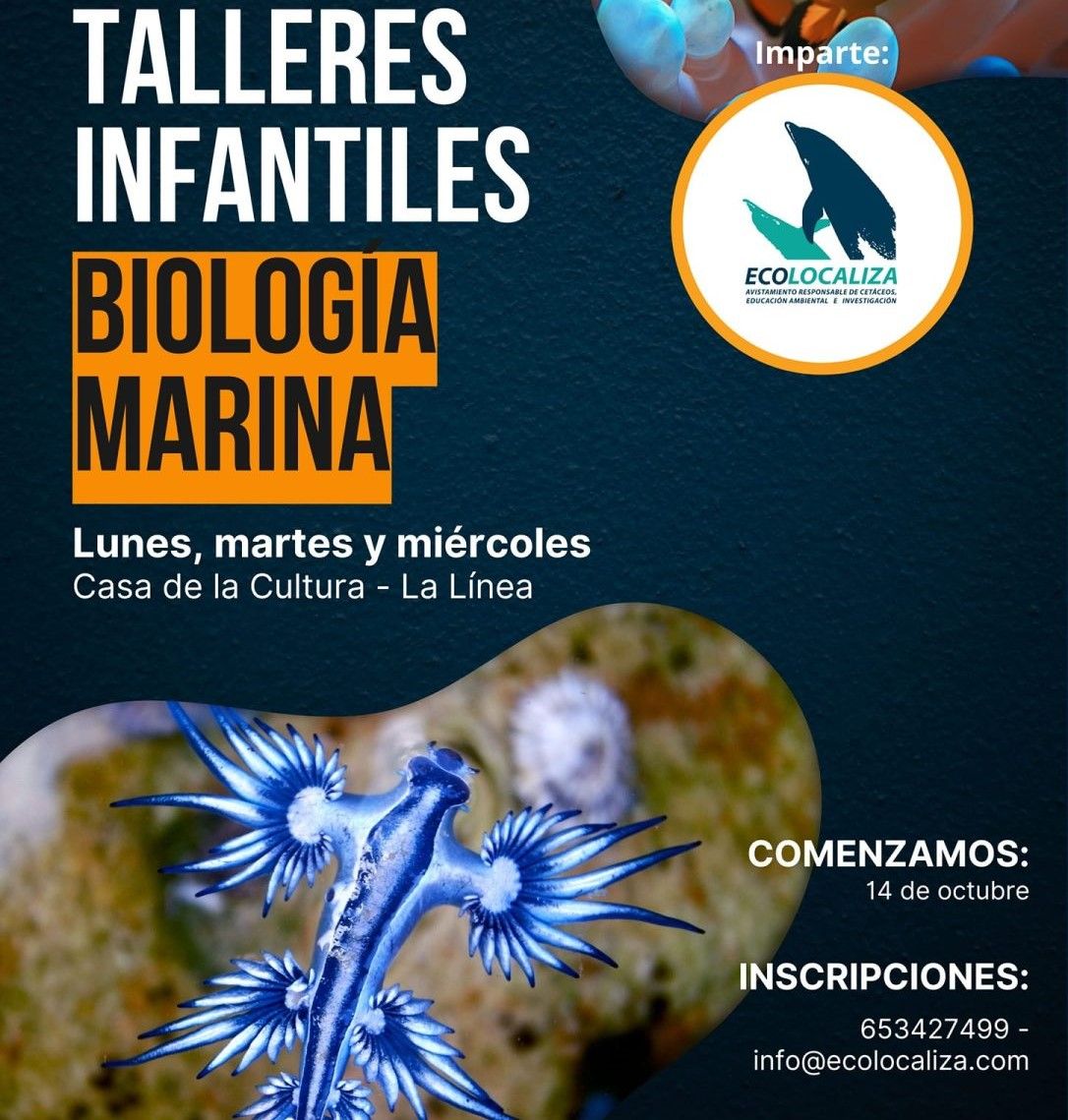Regresa a La Línea por cuarto año el taller infantil de Biología Marina de Ecolocaliza .
