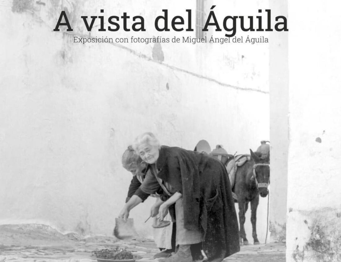 EXPOSICIÓN CON FOTOGRAFÍAS DE MIGUEL ÁNGEL DEL ÁGUILA