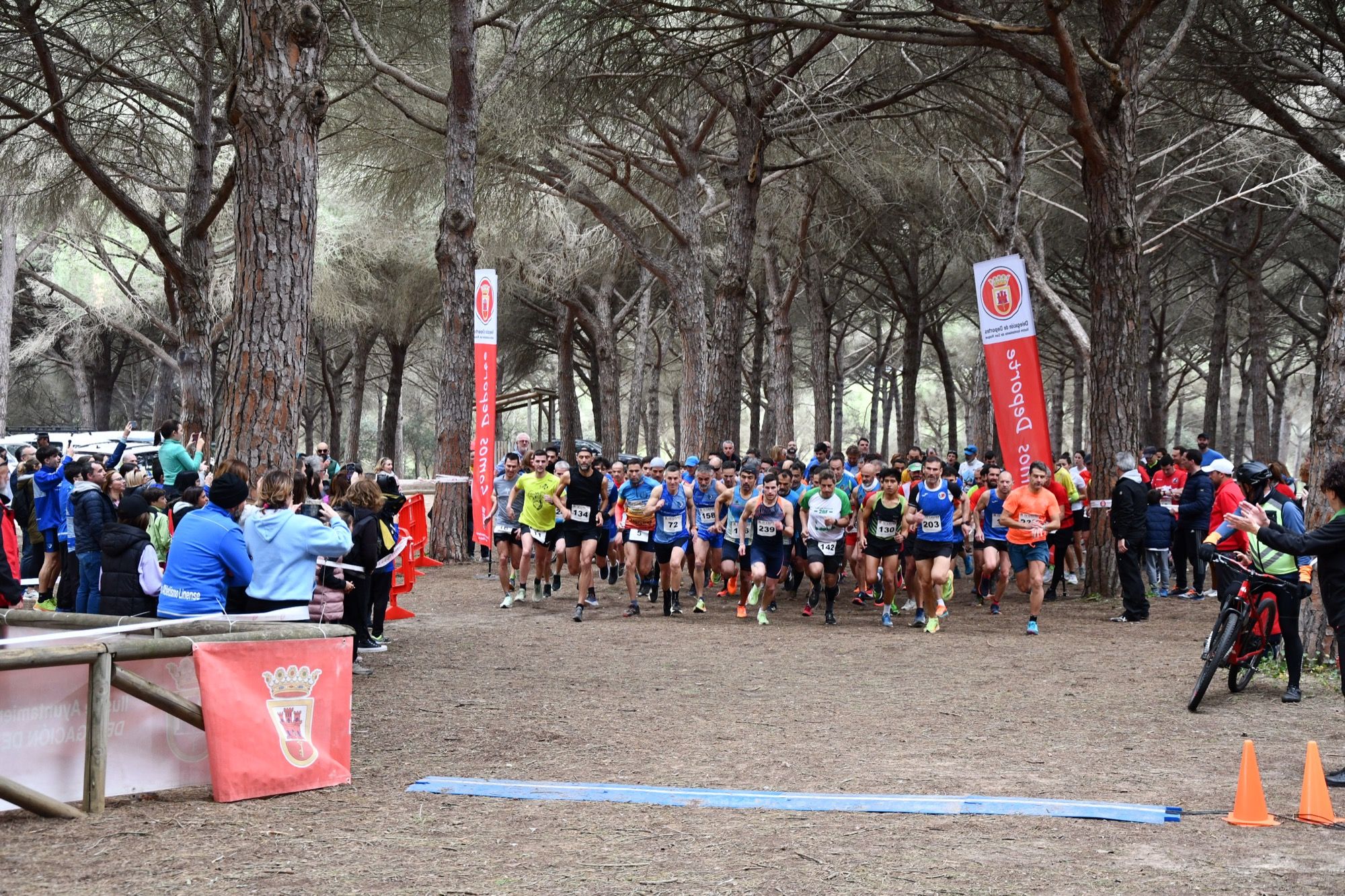 480 corredores se inscriben en el V Cross del Pinar del Rey, que se disputará este domingo.