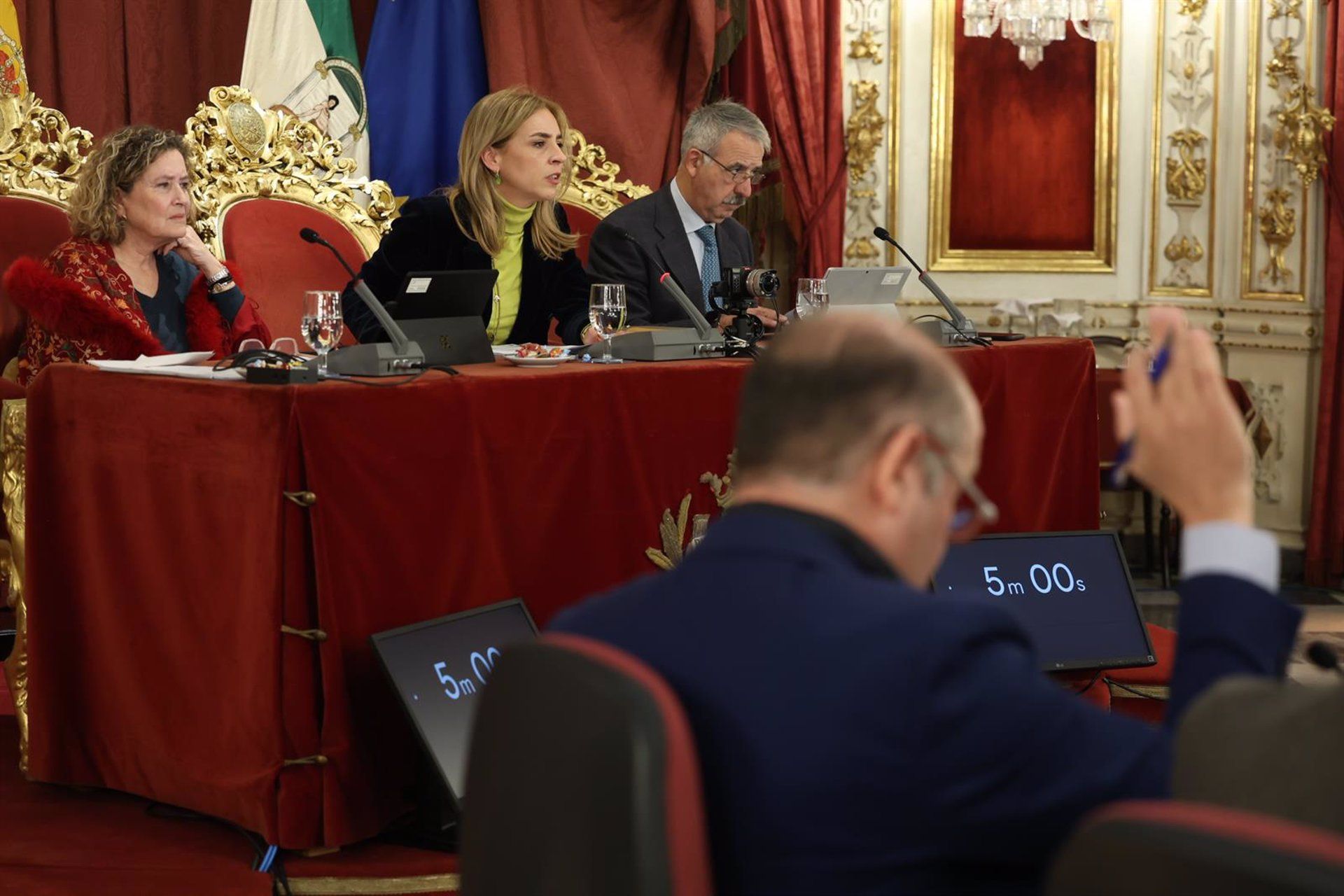 La presidenta de la Diputación de Cádiz, Almudena Martínez, durante el Pleno ordinario del mes de diciembre. - NACHO FRADE/EUROPA PRESS