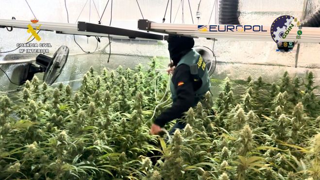 Foto: Guardia Civil. Foto: Guardia Civil.