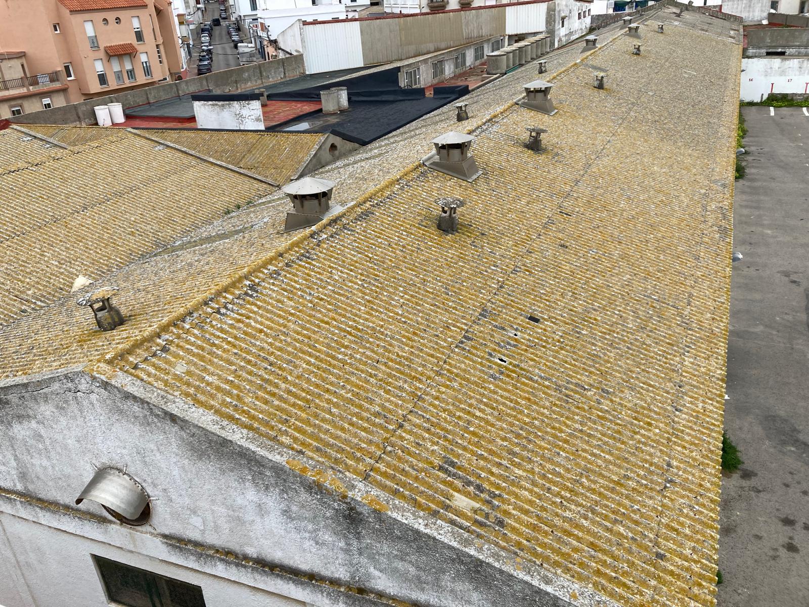 Techo de la antigua conservera La Tarifeña. Imagen de Agaden. 