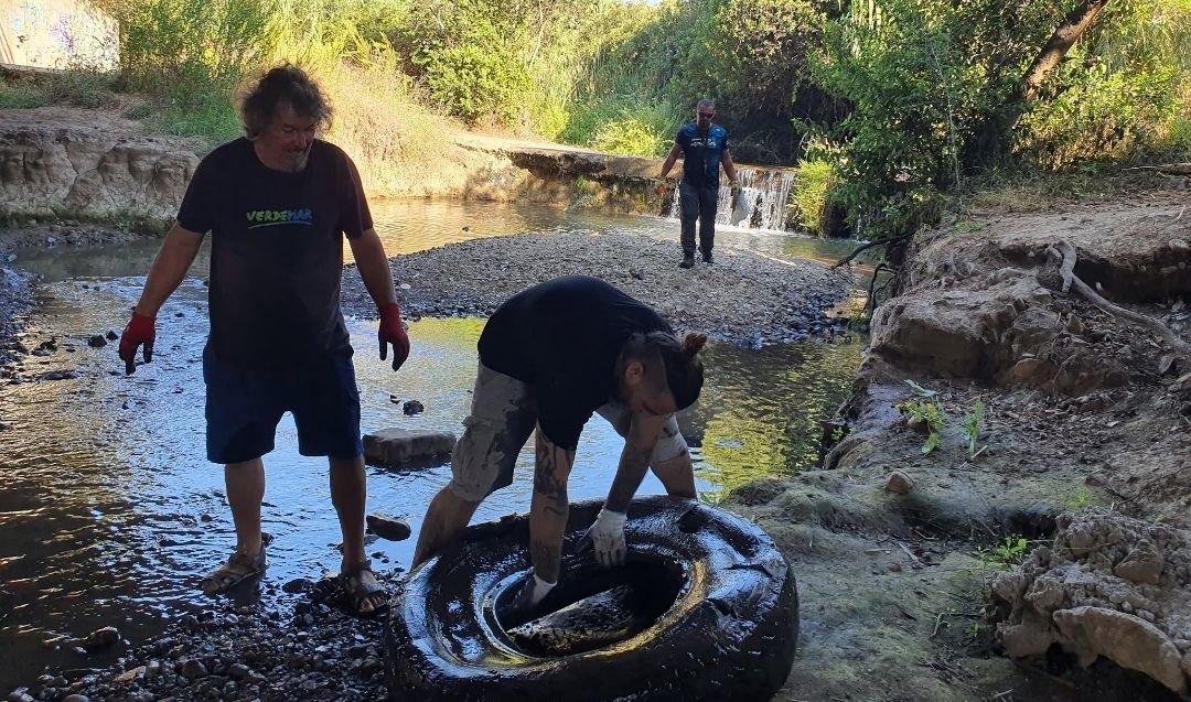 Verdemar denuncia que el río Pícaro "se muere" sin que la administración actúe.