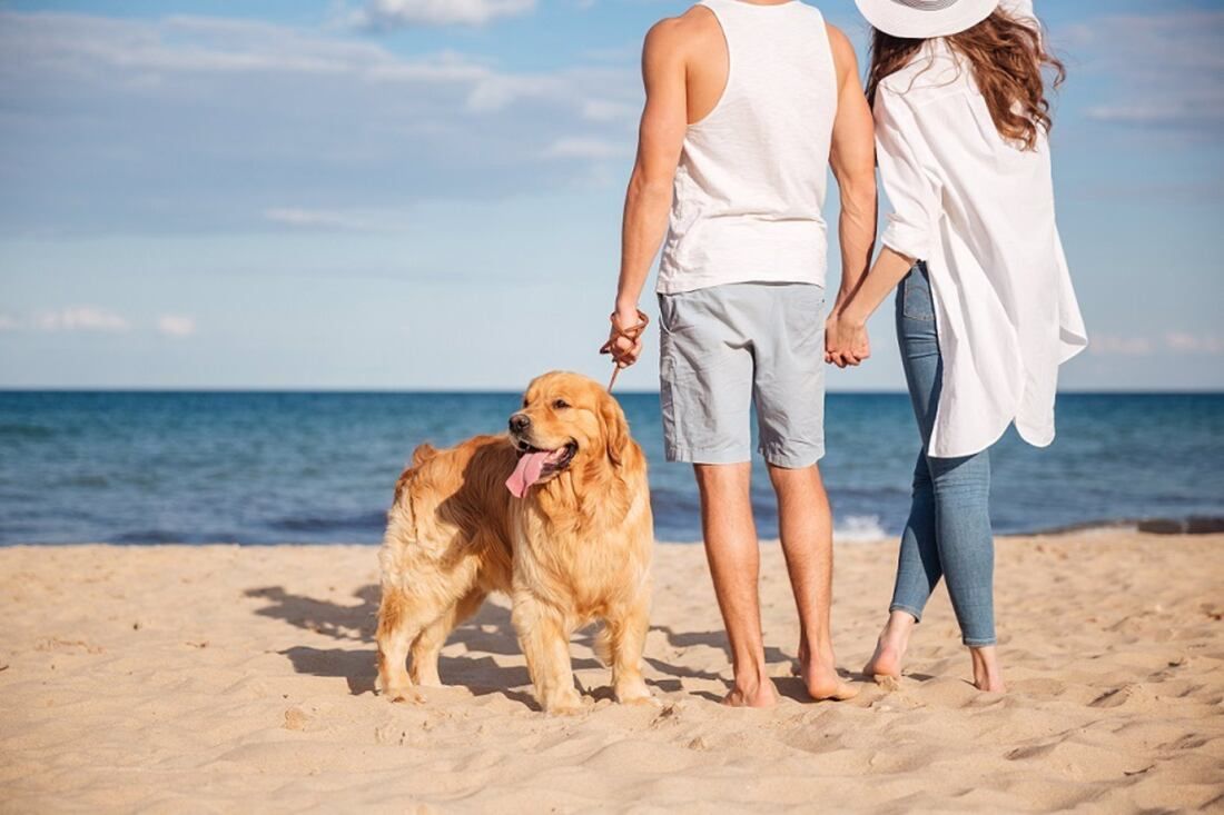 Cádiz.-Pacma se concentra en Rota, Cádiz y otras cuatro ciudades españolas para pedir libre acceso de animales en playas