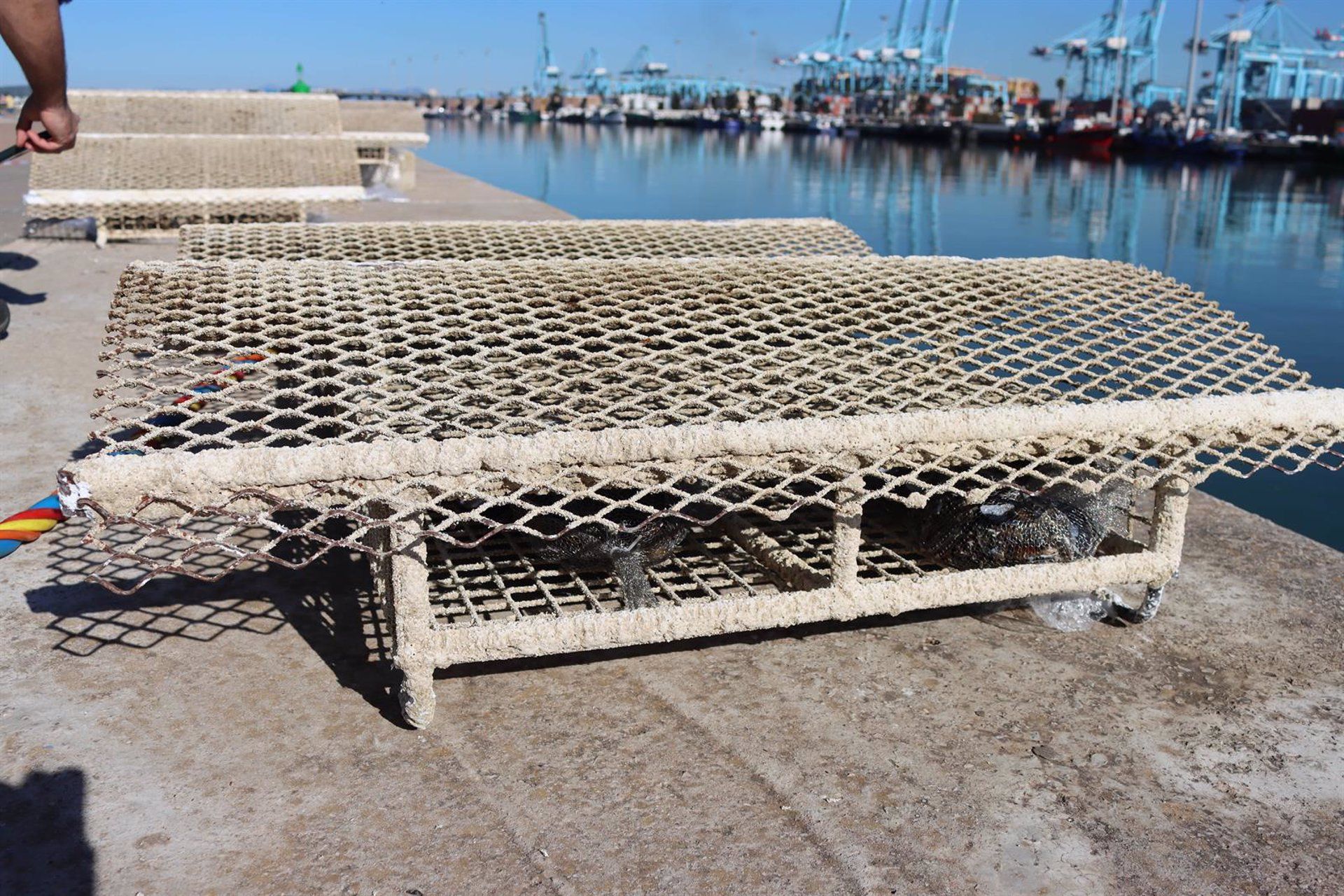 El Puerto de Algeciras defiende su apuesta por la transición a infraestructuras sostenibles marinas.