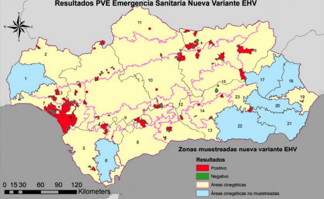 Programa de vigilancia epidemiológica y de emergencias sanitarias de la fauna en Los Alcornocales. Lámina 2. Cotos / zonas muestreadas / resultados. Emergencia sanitaria nueva variante EHV
