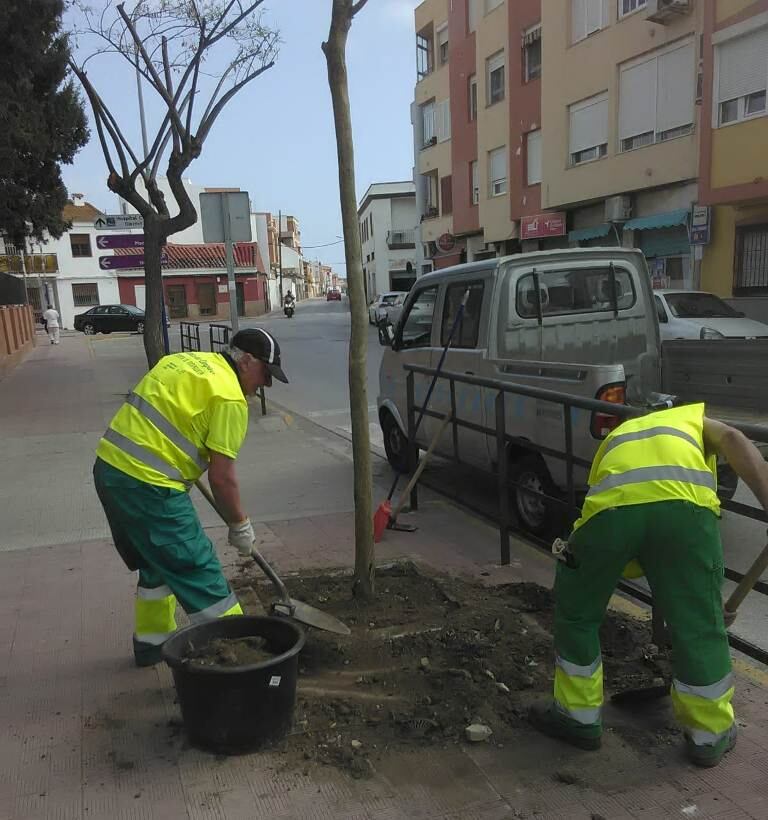 Plantacion_de_arboles_archivo