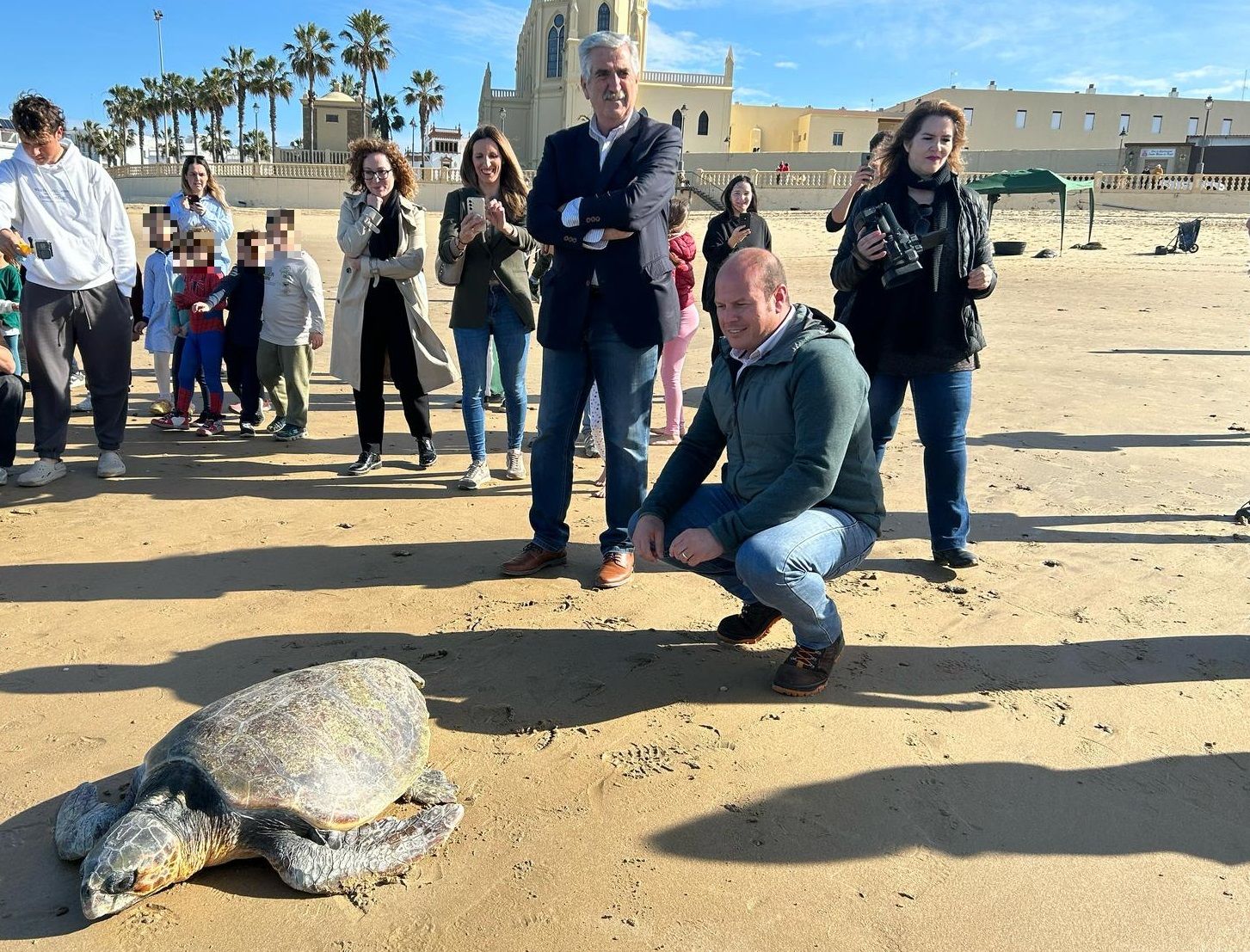 Liberan en Chipiona a tres tortugas marinas recuperadas en el Cegma del Estrecho.