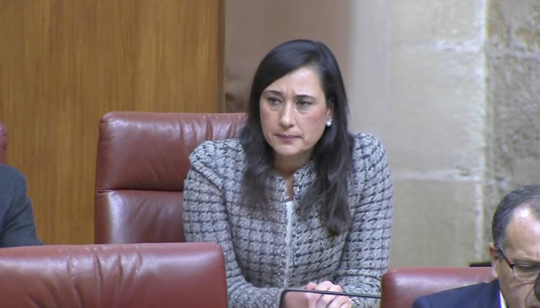 El PSOE reclama a la Junta que la mejora de financiación “prometida” a La Línea se extienda a la comarca.