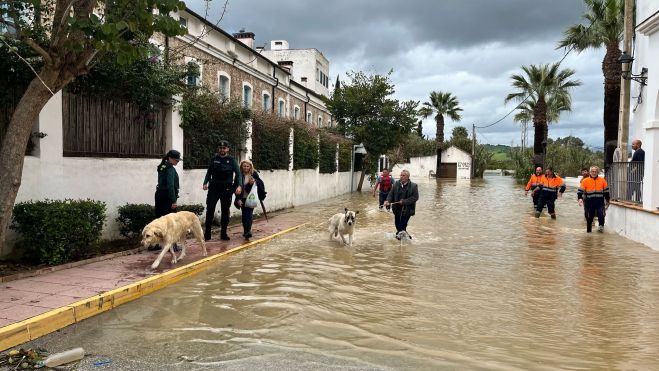 El emotivo rescate de dos perros en San Martín del Tesorillo, atrapados por la crecida de los ríos