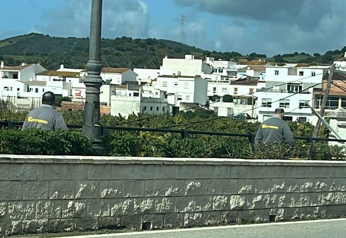Continúan los problemas con la cobertura y fibra en Tesorillo.