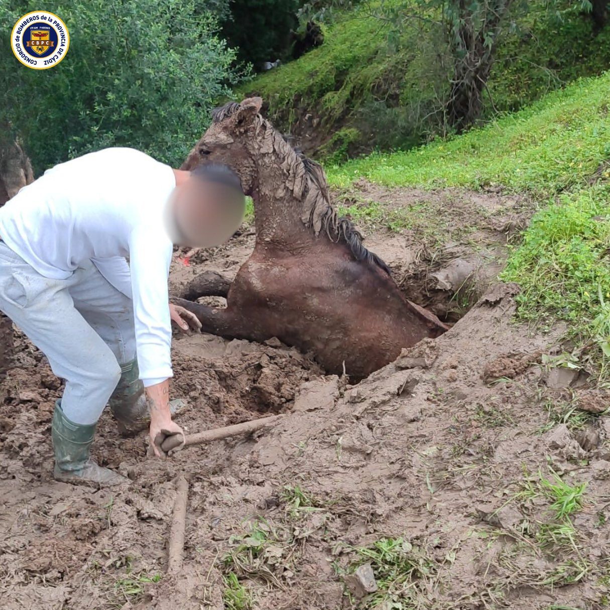 Bomberos rescatan a un caballo atrapado por el barro en Jimena.