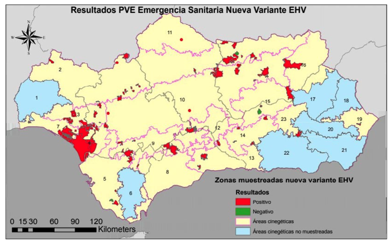 Programa de vigilancia epidemiológica y de emergencias sanitarias de la fauna silvestre en Los Alcornocales. Lámina 2. Cotos / zonas muestreadas / resultados. Emergencia sanitaria nueva variante EHV.