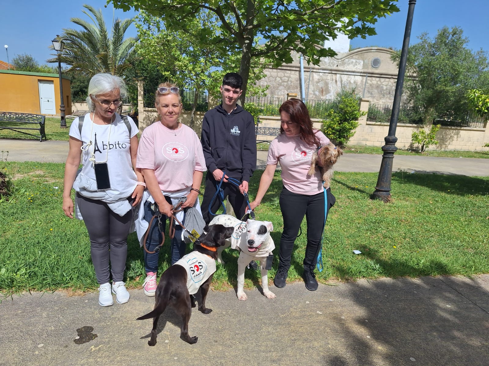 Las perritas Yula, Jarana y Sindi llenan de ternura la Residencia barreña Nuestra Señora del Rosario