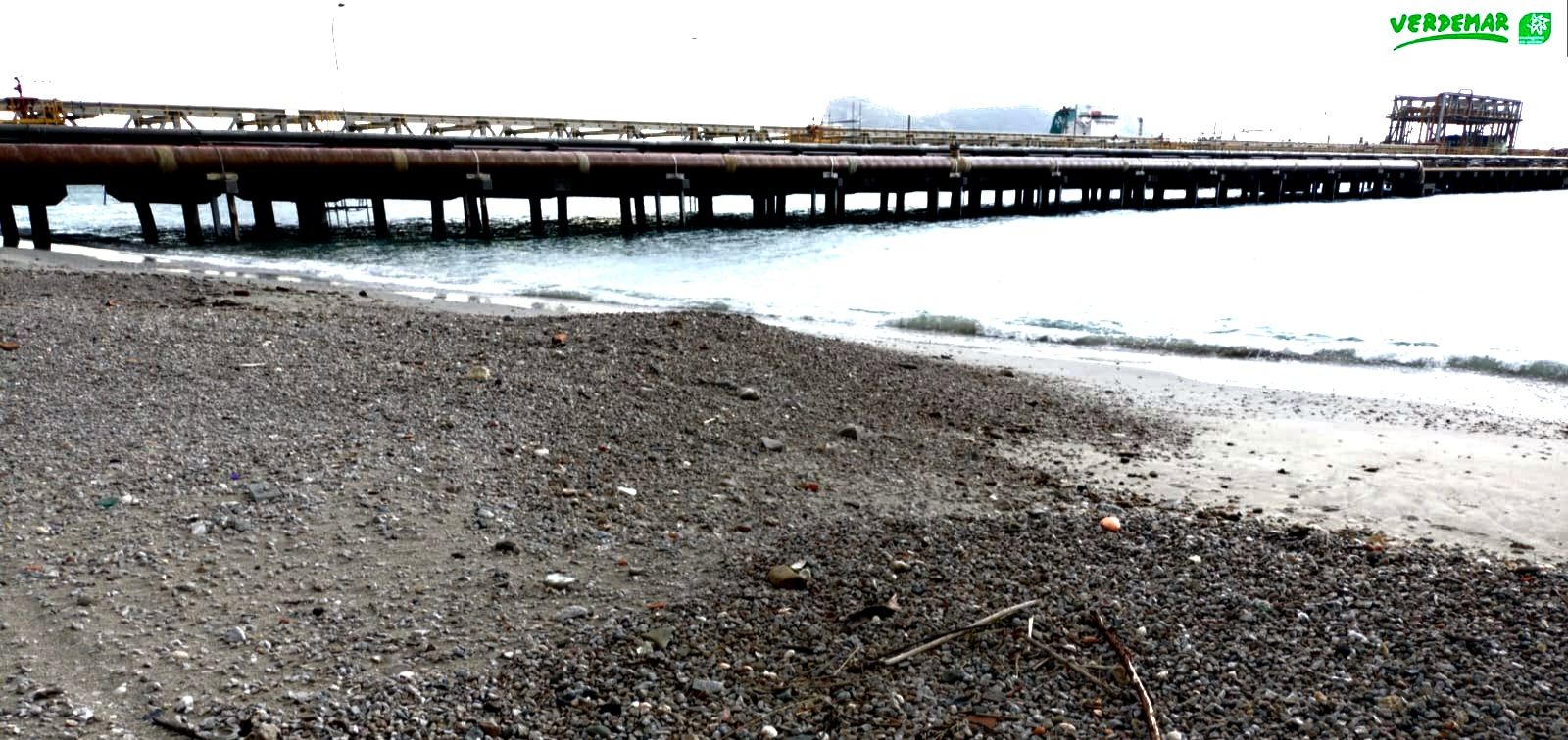 Verdemar denuncia ante la APBA la pérdida de litoral de Puente Mayorga