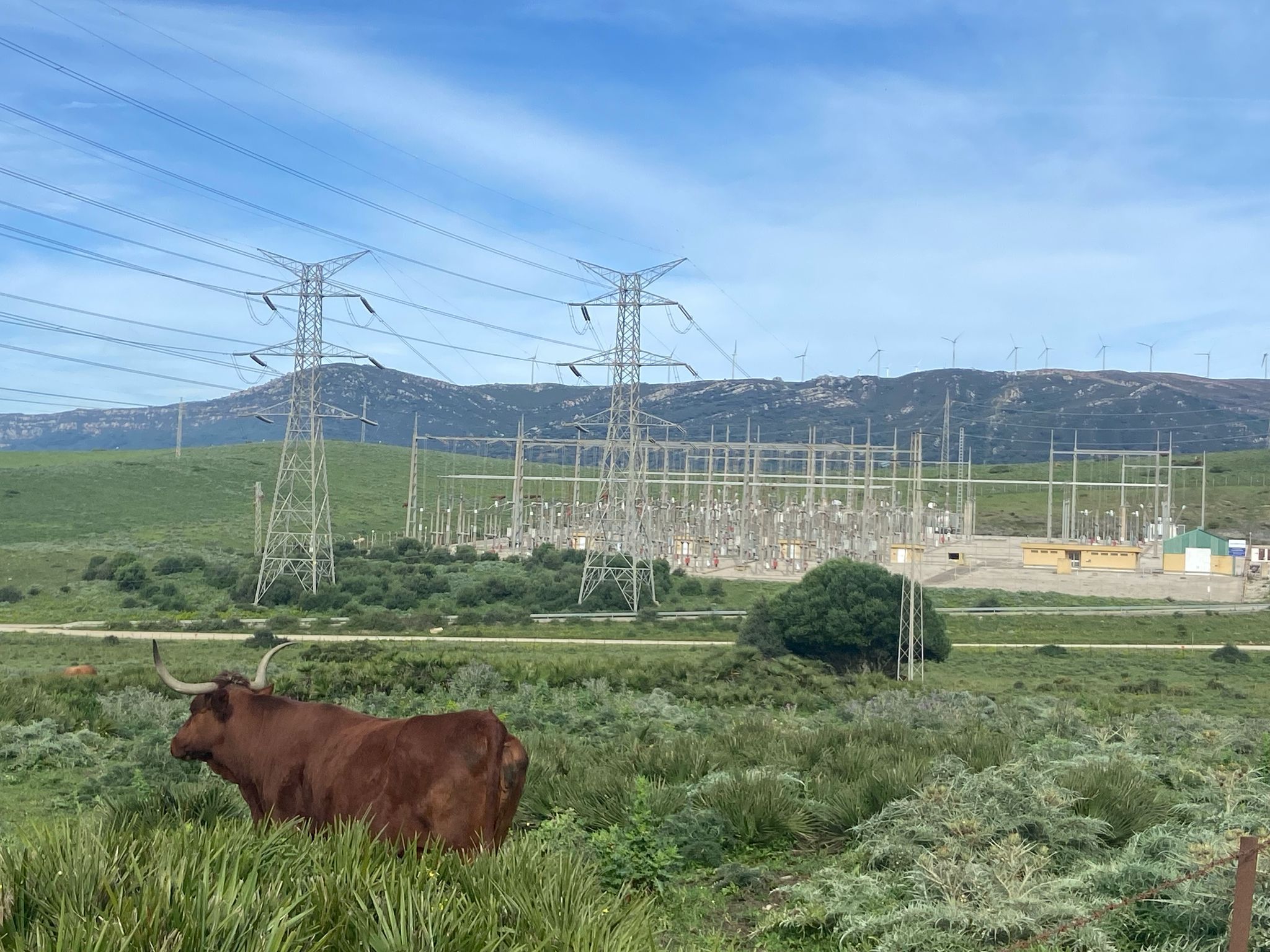 Agaden presenta alegaciones a la instalación de una planta de almacenamiento de baterías en Tarifa