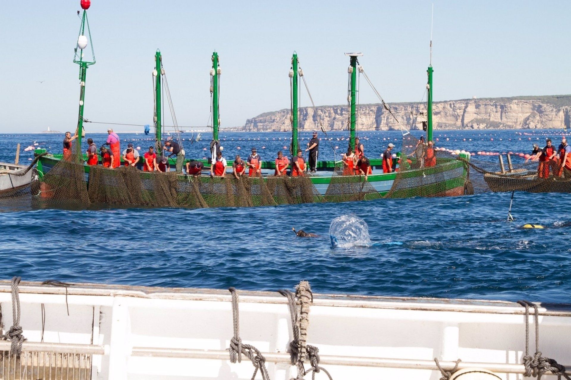 Las almadrabas en una levantá del atún rojo en aguas de Cádiz. - JUNTA DE ANDALUCÍA. 