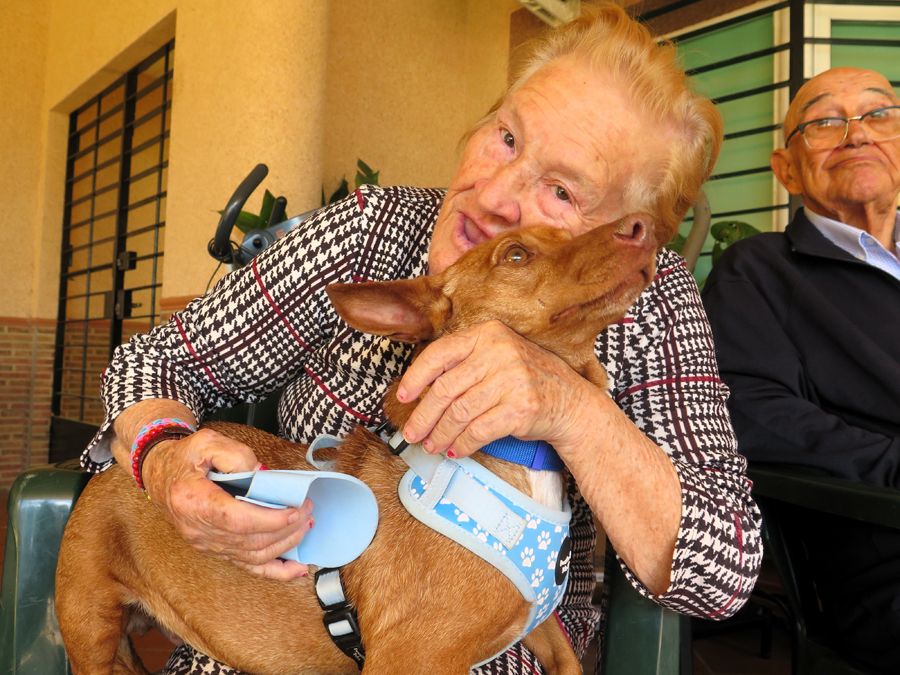 Ternura y terapia canina para enfermos de Alzheimer de Algeciras
