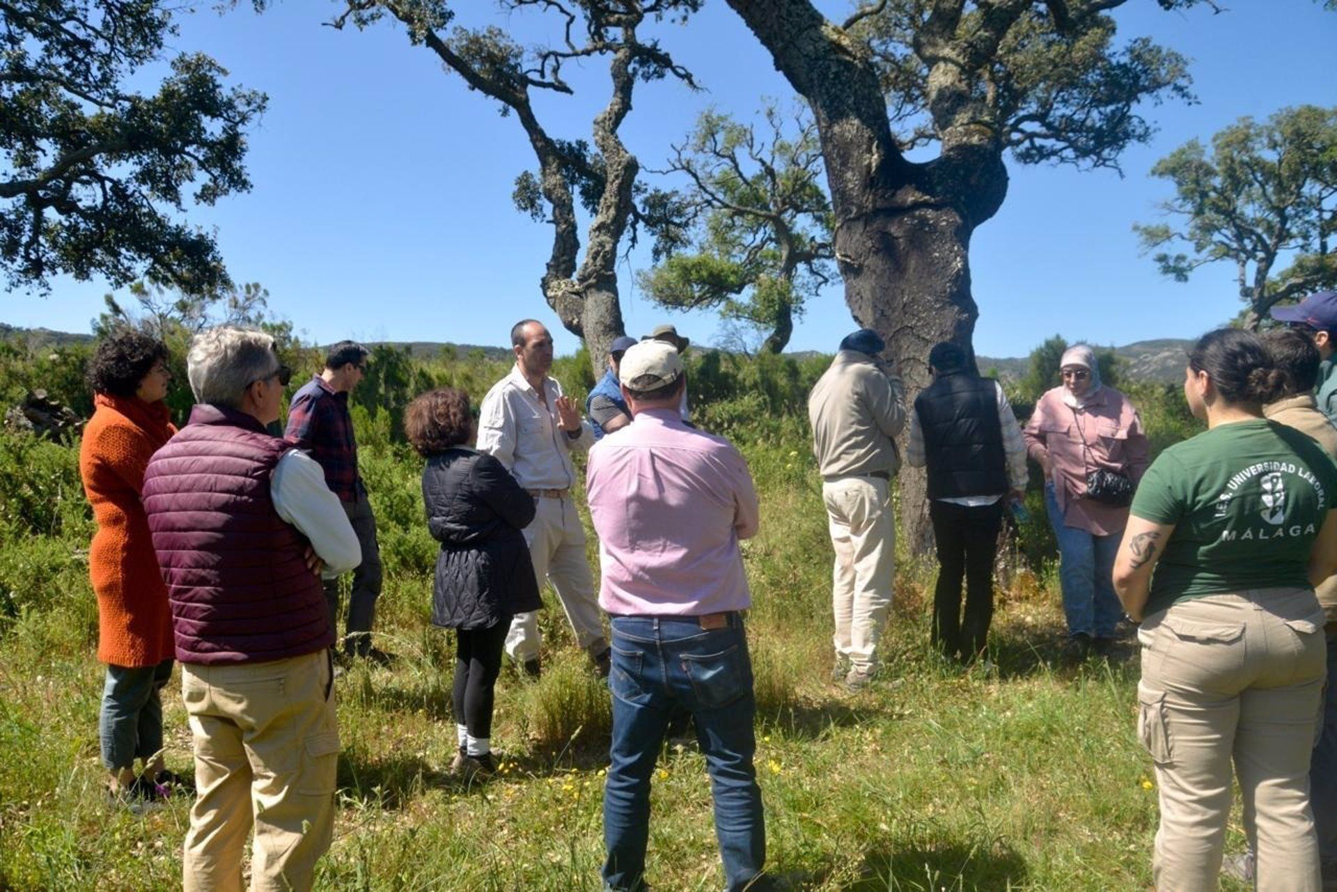 Andalucía expone en un foro con Marruecos su labor en gestión del alcornocal y contra incendios.