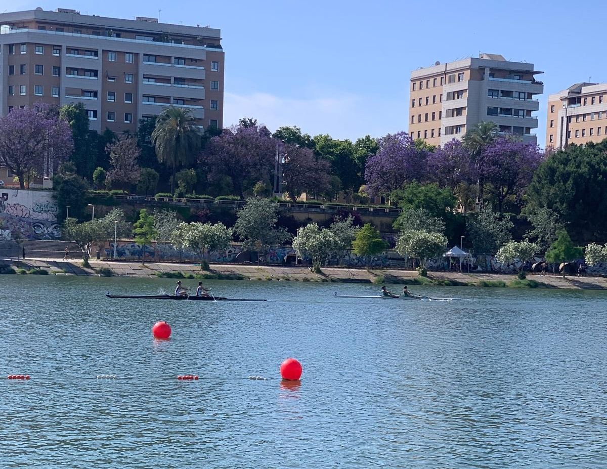 Quinta plaza y tres medallas para el Club Remo de Mar La Línea en el Campeonato de Andalucía de barcos largos de remo.