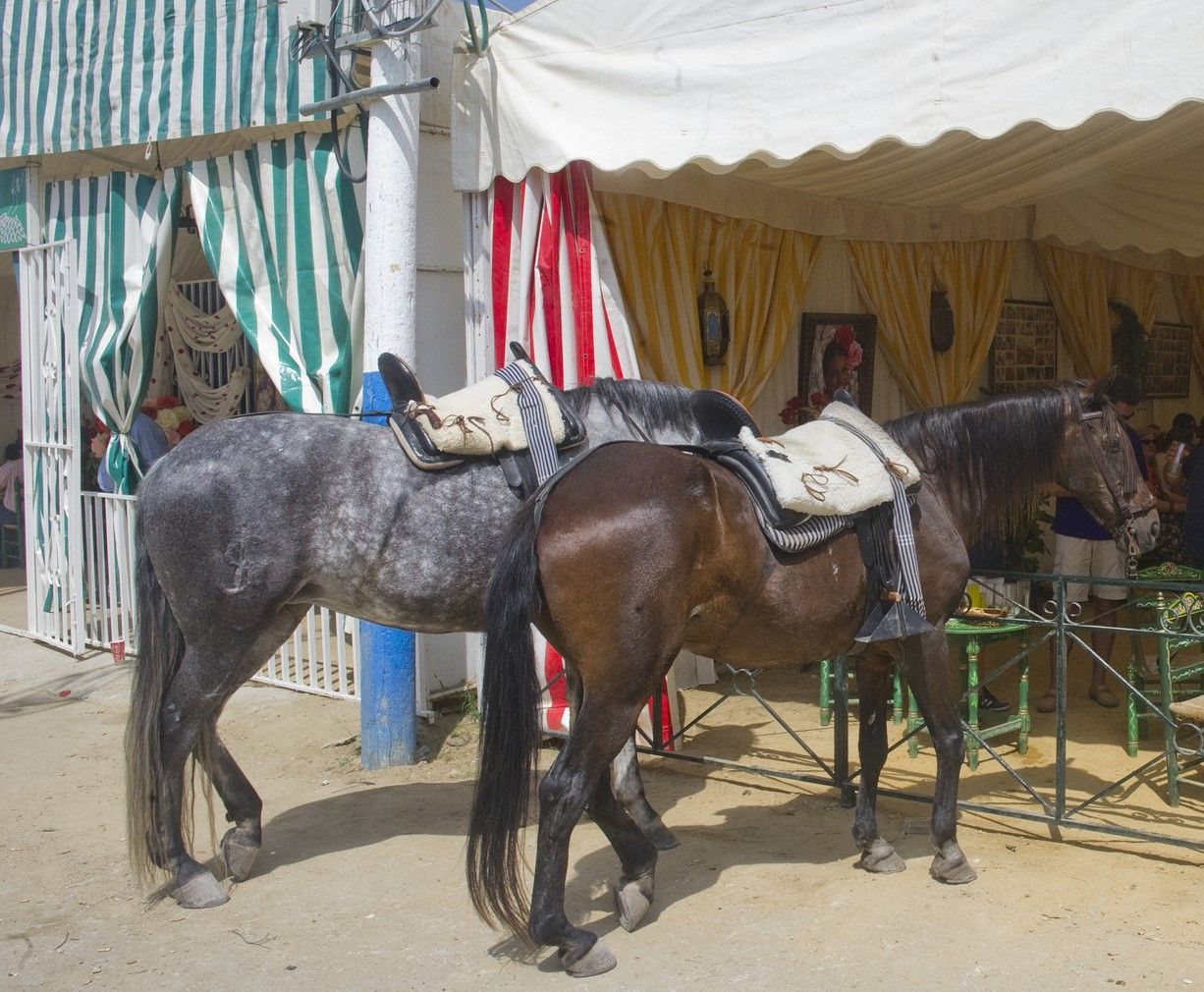 Abierto el plazo de solicitud de licencia para el uso de carruajes tirados por caballos durante la feria.