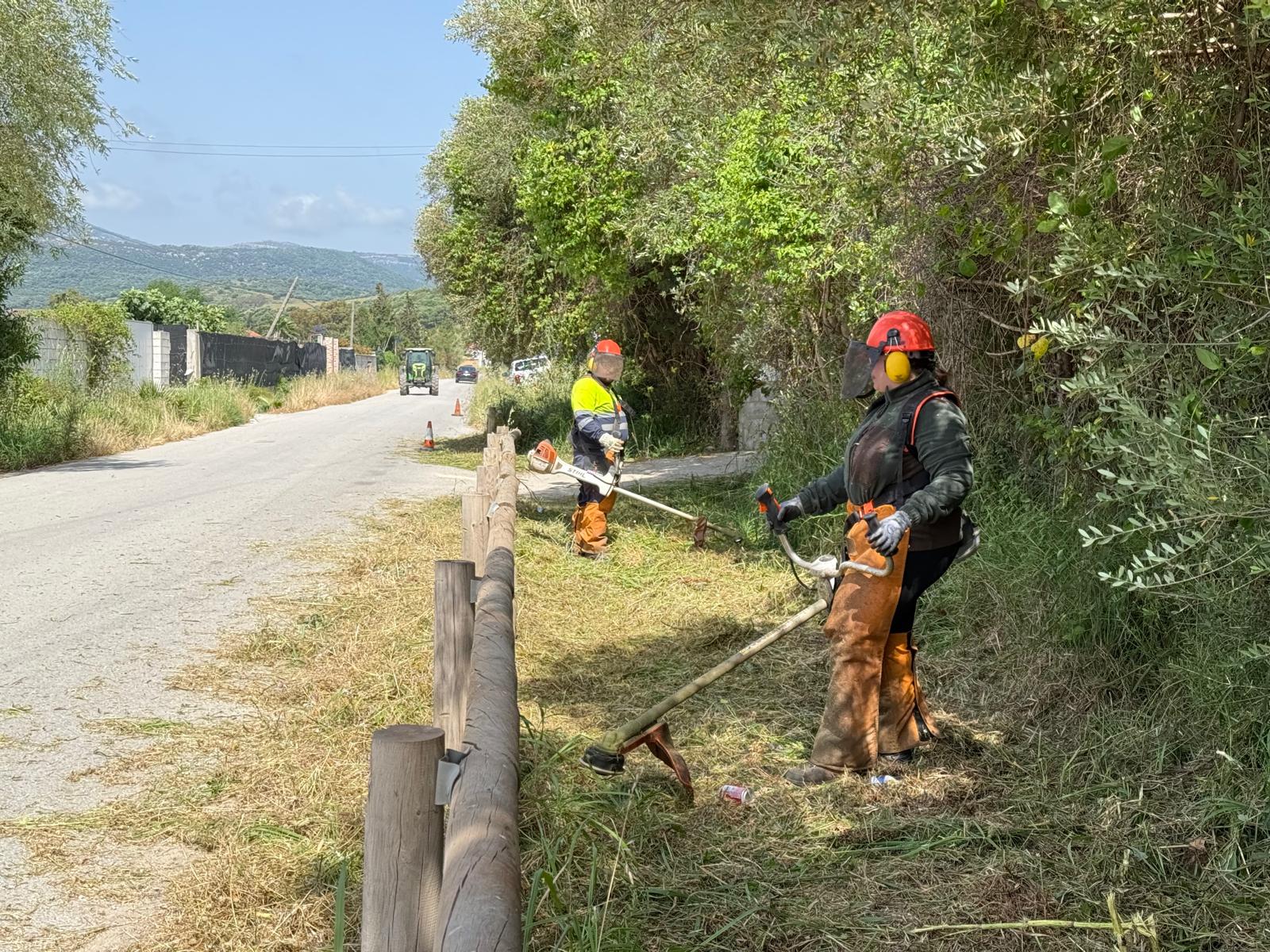 Ejecutados trabajos de desbroce y limpieza en los senderos del Corredor Verde Dos Bahías y Puerta Verde.