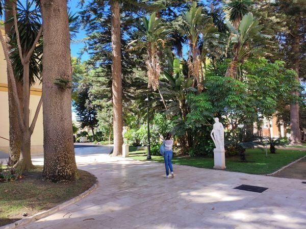 La caída de ramas y piñas de hasta dos kilos, motivo del cierre temporal de los Jardines Saccone. Imagen de archivo.