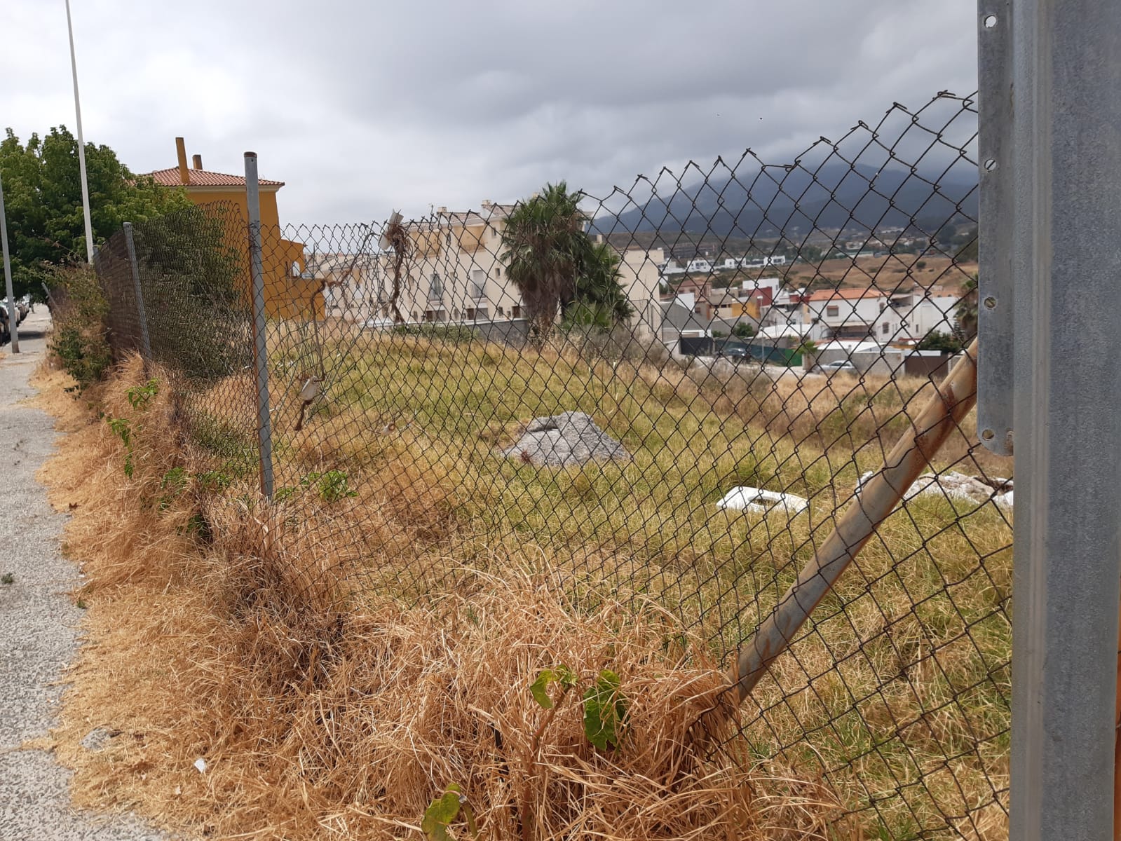 IU advierte que Algeciras "no está preparada" para el riesgo de incendios de pastos.