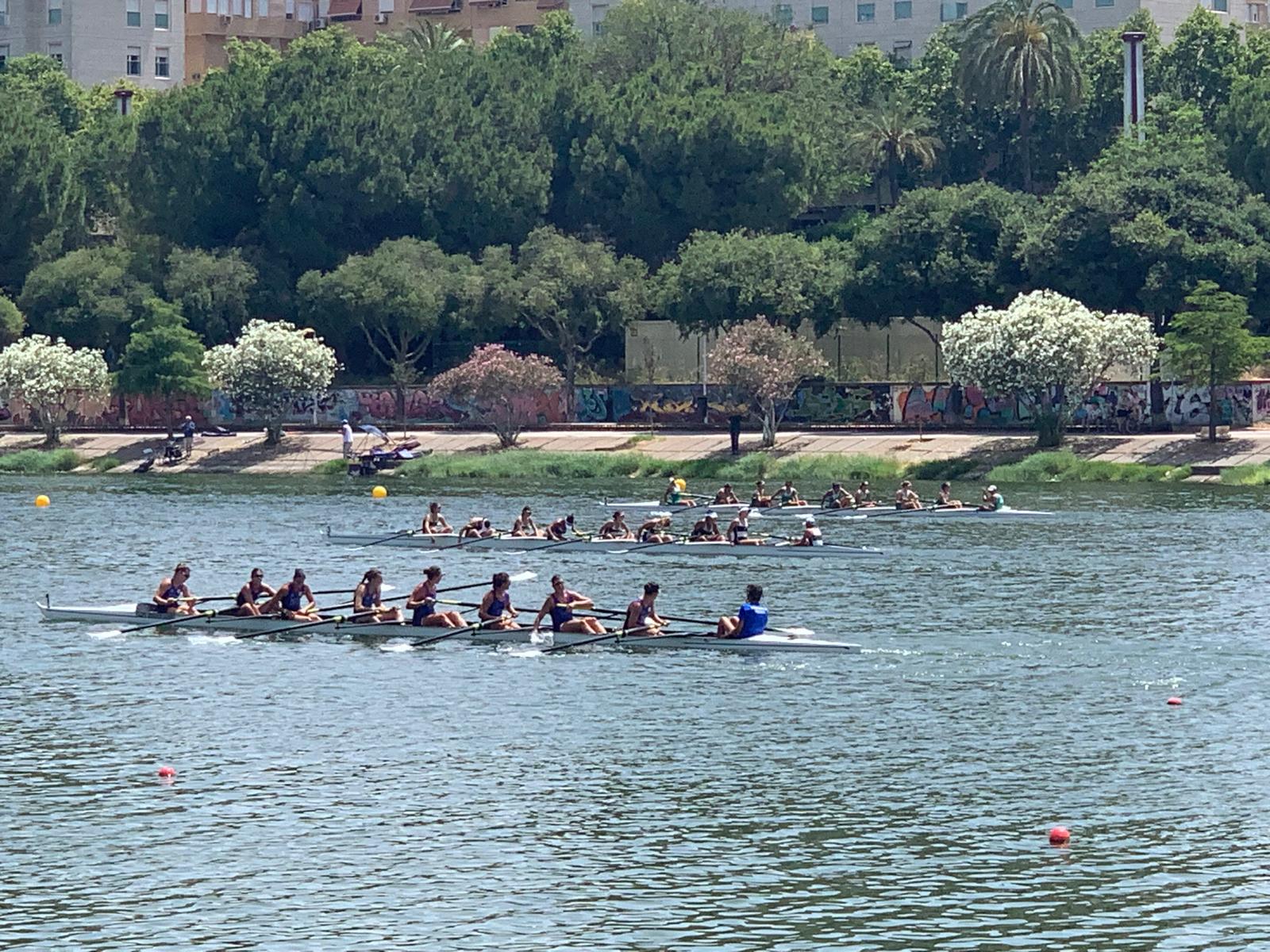 Oro para el Club de Remo Linense en el Campeonato de España de remo olímpico y paralímpico.