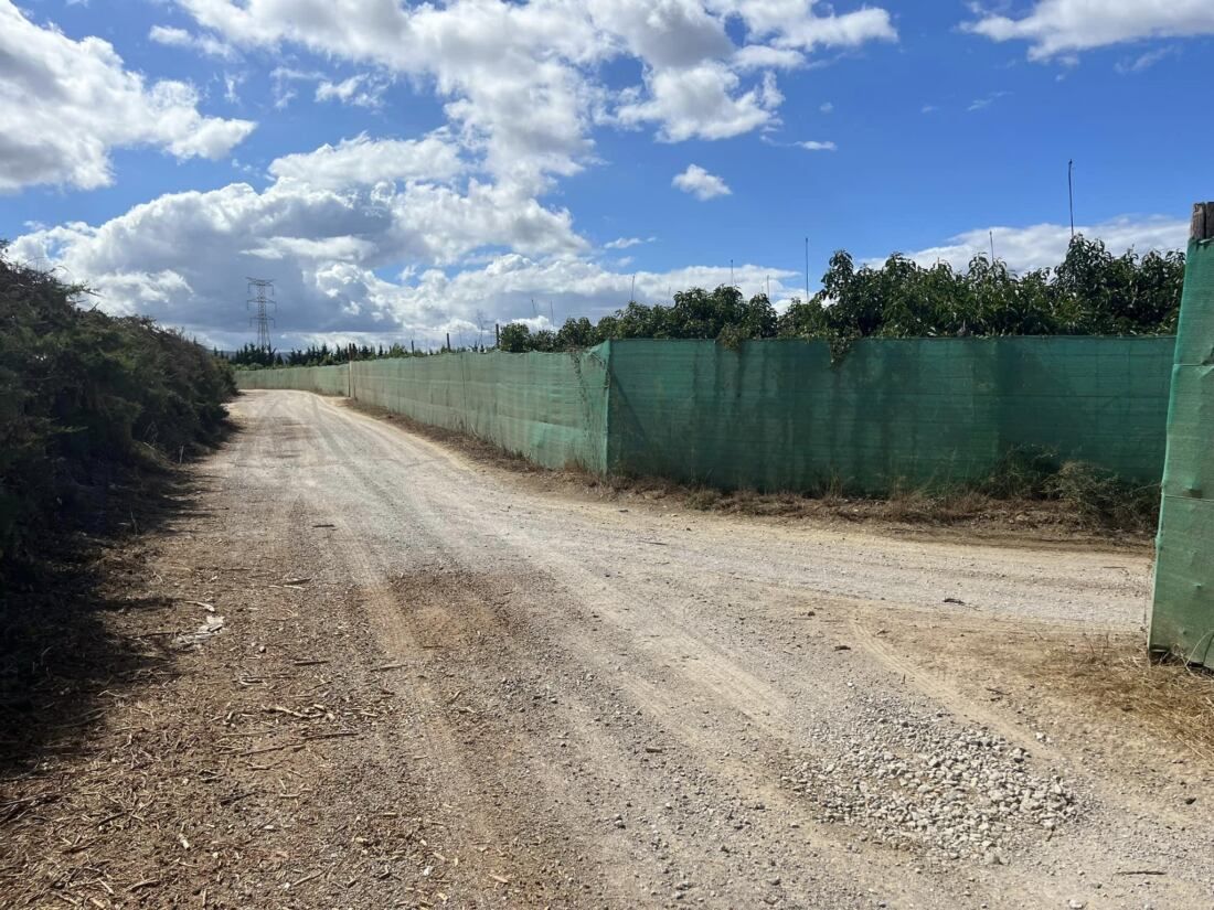Camino Rural de Arenillas, Castellar.