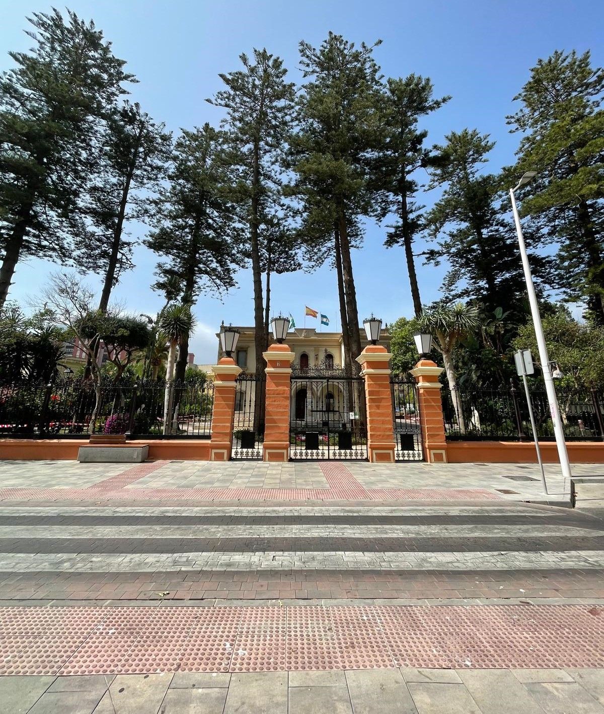 Araucarias en los Jardines Saccone. Titular: La Línea acogerá el 27 de septiembre la 'V Jornada Fantástica'.