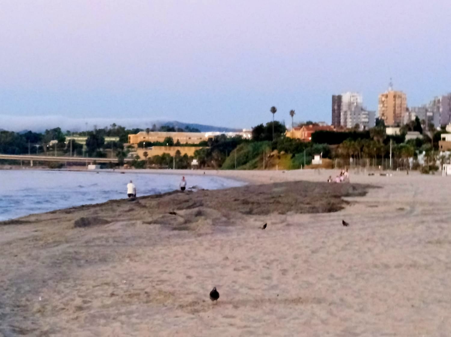 Aporte arena Rinconcillo. El PSOE denuncia que las playas de Algeciras están faltas de limpieza por la carencia de personal.