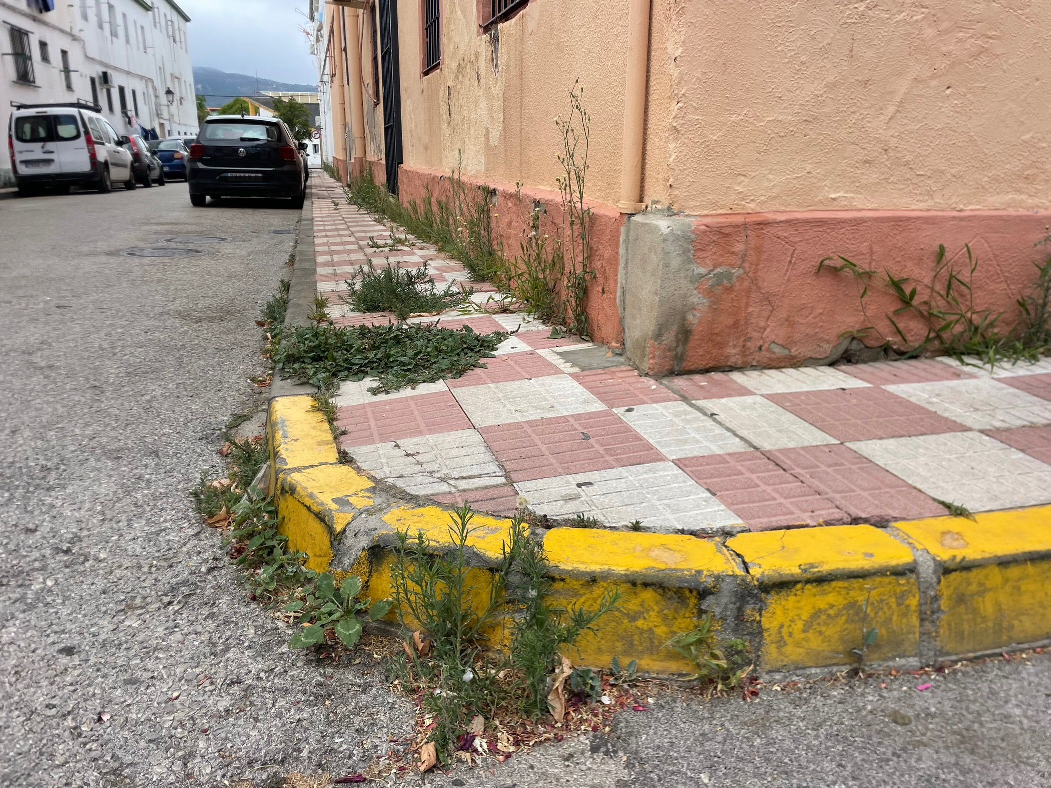 El PSOE de Los Barrios llevará al pleno las quejas vecinales de los pisos del sindicato