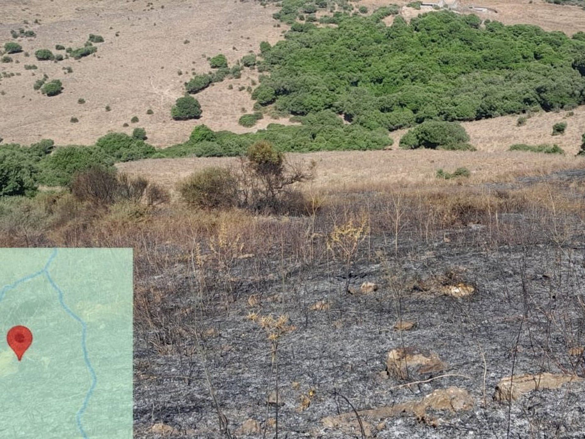 Incendio en Algeciras entre Getares y Pelayo. - INFOCA